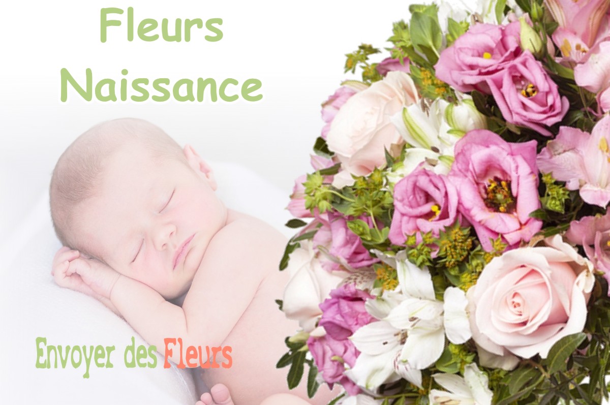 lIVRAISON FLEURS NAISSANCE à LA-TOUR-DU-MEIX